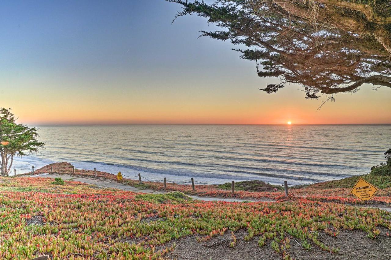 Cliffside Pacifica Hideaway Unbeatable View!公寓 外观 照片